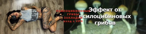 ешки Осинники