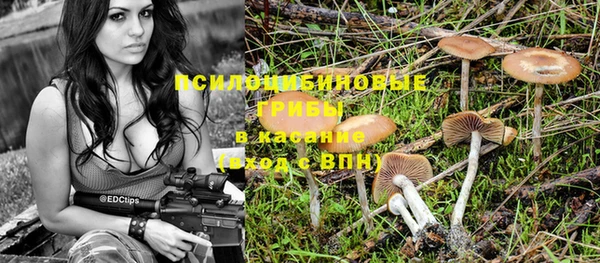 не бодяженный Алексин